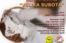 Valpovo - valpovo.net - FOTO-ETNO RADIONICA “VELIKA SUBOTA”
